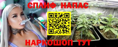 прущие грибы Чапаевск