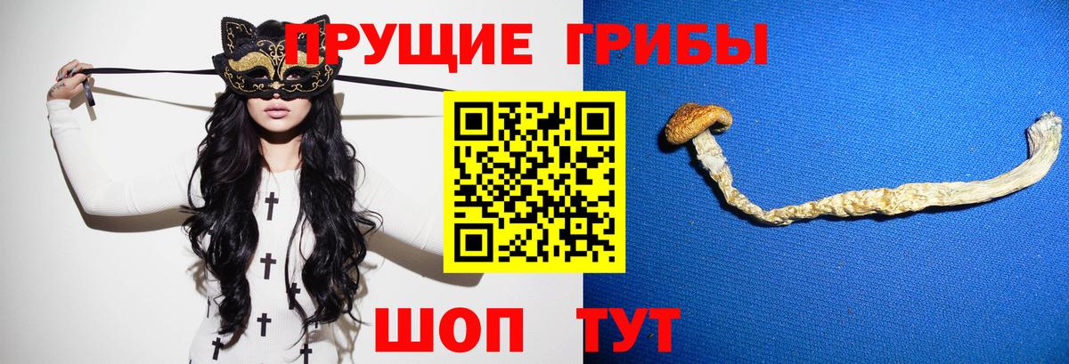 Бийск  Псилоцибиновые грибы GOLDEN TEACHER  Вход с VPN 