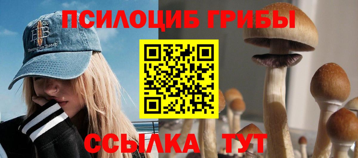 Псилоцибиновые грибы GOLDEN TEACHER Бийск